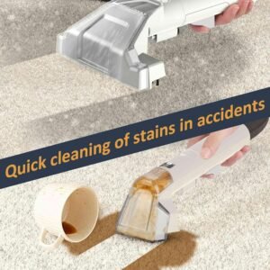 Shampouineuse 400W : avis et détachage pour tapis et canapés