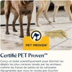 Bissell SpotClean C5 : avis complet et détachage puissant pour tapis et canapés