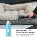 Slevoo Shampouineuse Canapé – Puissant Moteur 450 W Aspirateur Nettoyeur de Tapis pour canapé, Tapis, Rembourrage, Voiture