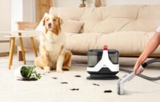 UFESA Eden 600 : test & avis 2-en-1 pour tapis et canapés