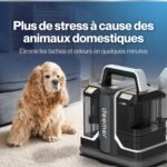 Deemer Shampouineuse Portable : avis complet 750W pour auto